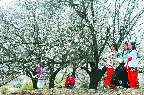 维多利亚老品牌经典形象